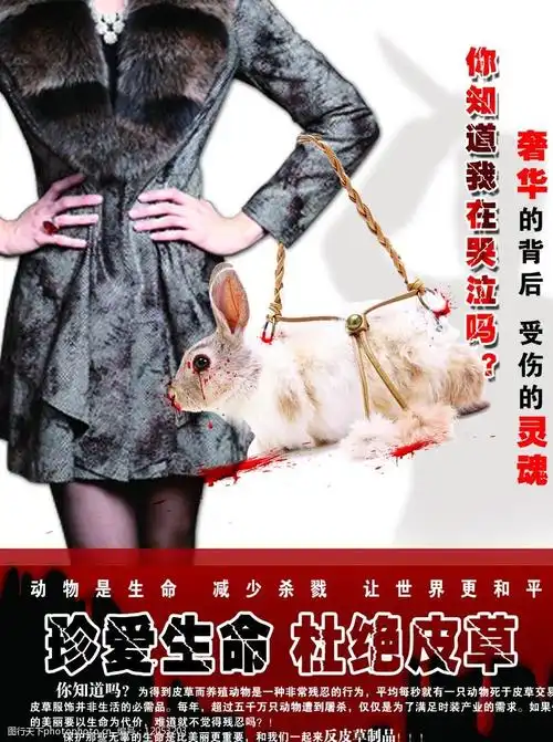 皮草保护动物拒绝皮草图片
