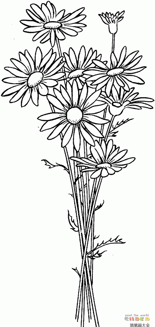 简笔画一束黄菊花 简笔画图片大全-普车都
