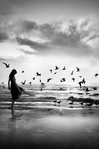 无法挣扎的情感结局,孤独的人生路又该何去何从?