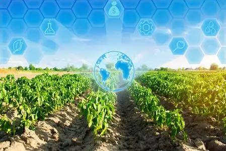 农田景观.农业创新.高科技和研究.提高植物产量照片