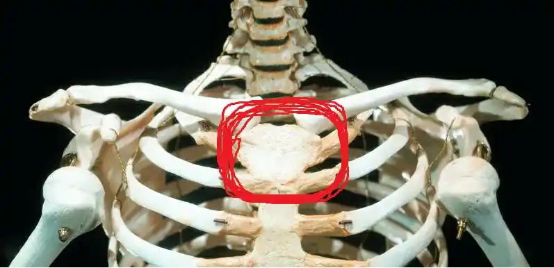 胸骨上端锁骨窝下方,就是胸骨最突起的部位感觉比以前突出了,有时阵痛