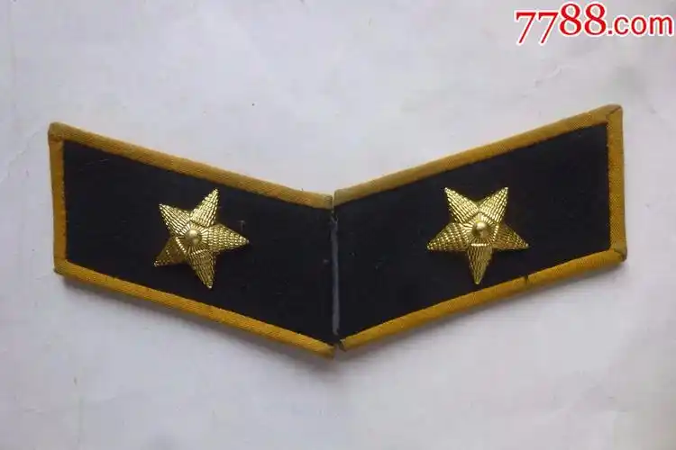 领章一对(看仔细了再拍)