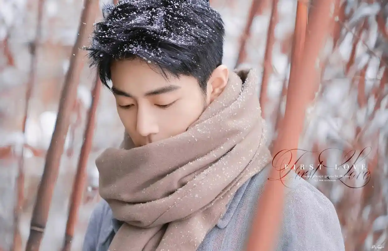 电脑壁纸更新 这个色系真是好看啊  #肖战#  cr:logo