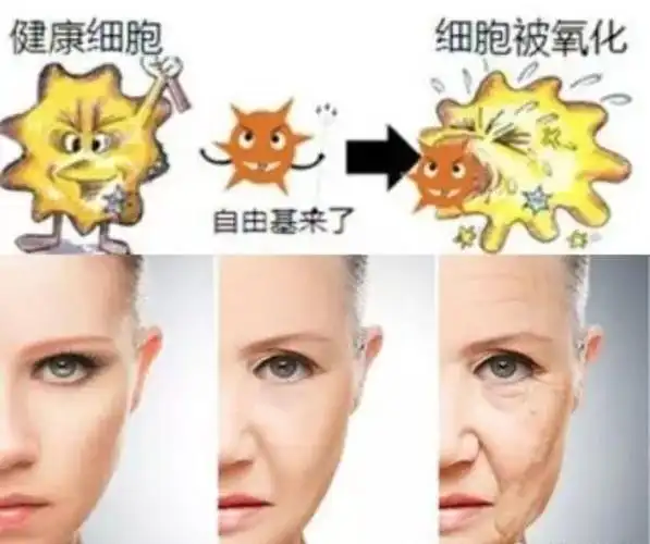 化学物质,形成致癌物质; 三宗罪:侵袭细胞组织及荷尔蒙所必须的氨基酸