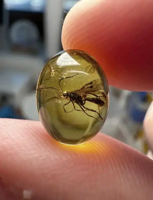 🐝尼泊尔风格虫珀戒指完美呈现💍