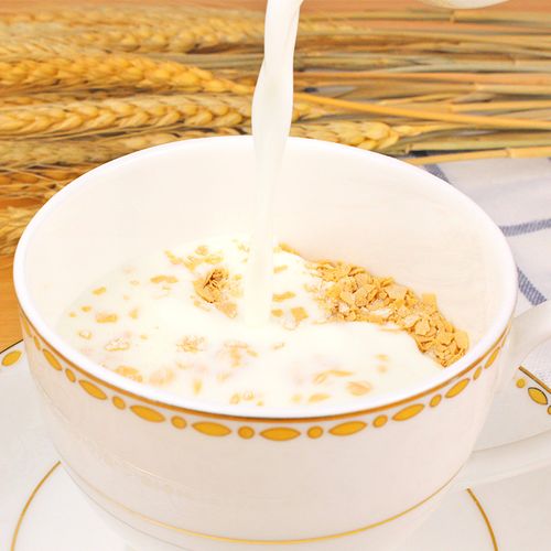金味营养麦片600g懒人速溶冲饮即食儿童学生水果