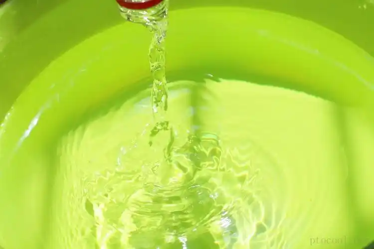 一缕阳光一盆清水一次一次的快门