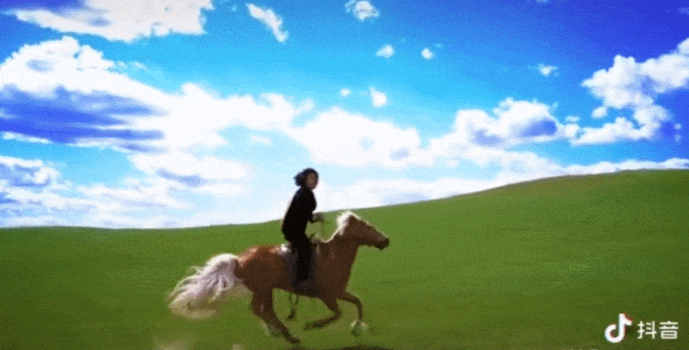 太飒!女法官身背国徽,骑马去办案