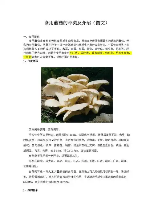 食用蘑菇的种类与图文介绍.doc 47页