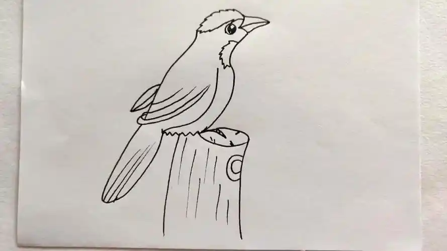 简笔画:站在木桩上的鸟