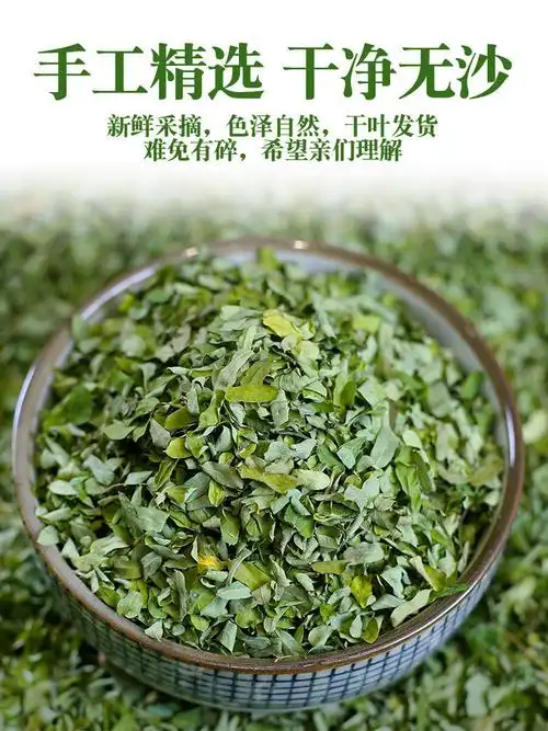 正宗广西野生鸡骨草茶叶鸡骨草叶子新鲜相思叶鸡骨草茶新货精选纯叶鸡