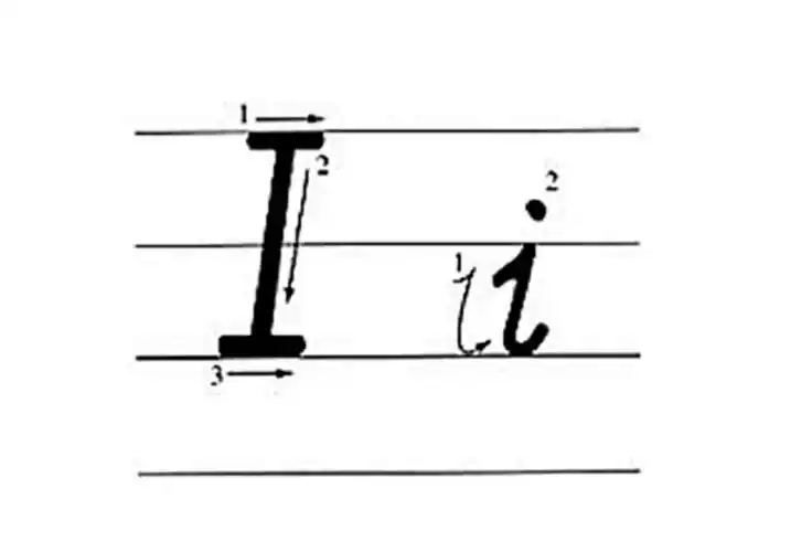 tom teaching |第一期:英文字母的书写