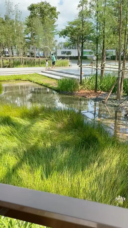 打卡深湾街心公园,光影的相互作用很nice.