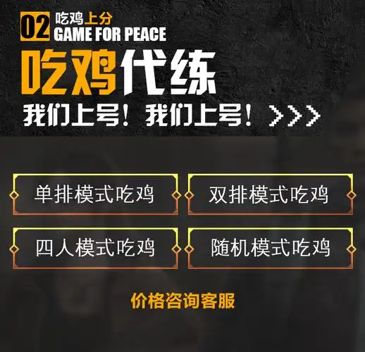 【电竞猫】和平精英代练刺激战场代打排位吃鸡上分陪练 拍前咨询客服