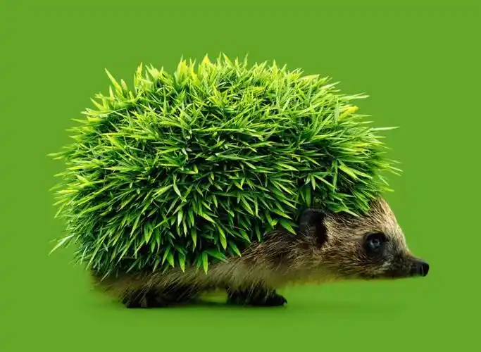 脑洞大开创意ps超现实主义作品