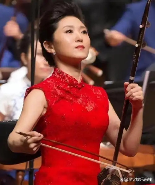 二胡演奏《江南春色》,中央音乐学院教授于红梅演奏,人美艺精