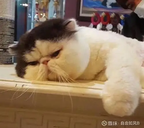 你是不是每天什么都不想做只想躺着待着刷手机