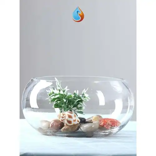 鱼缸小型宿舍精致圆形家居透明简易鱼缸