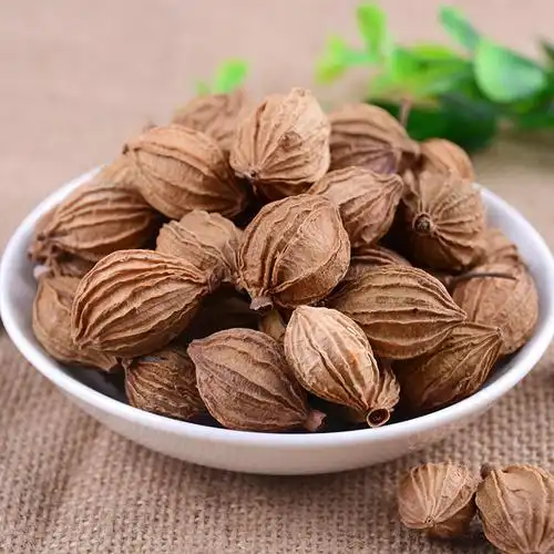 香砂50克金砂仁烧菜卤水火锅麻辣烫佐料香料调料花椒