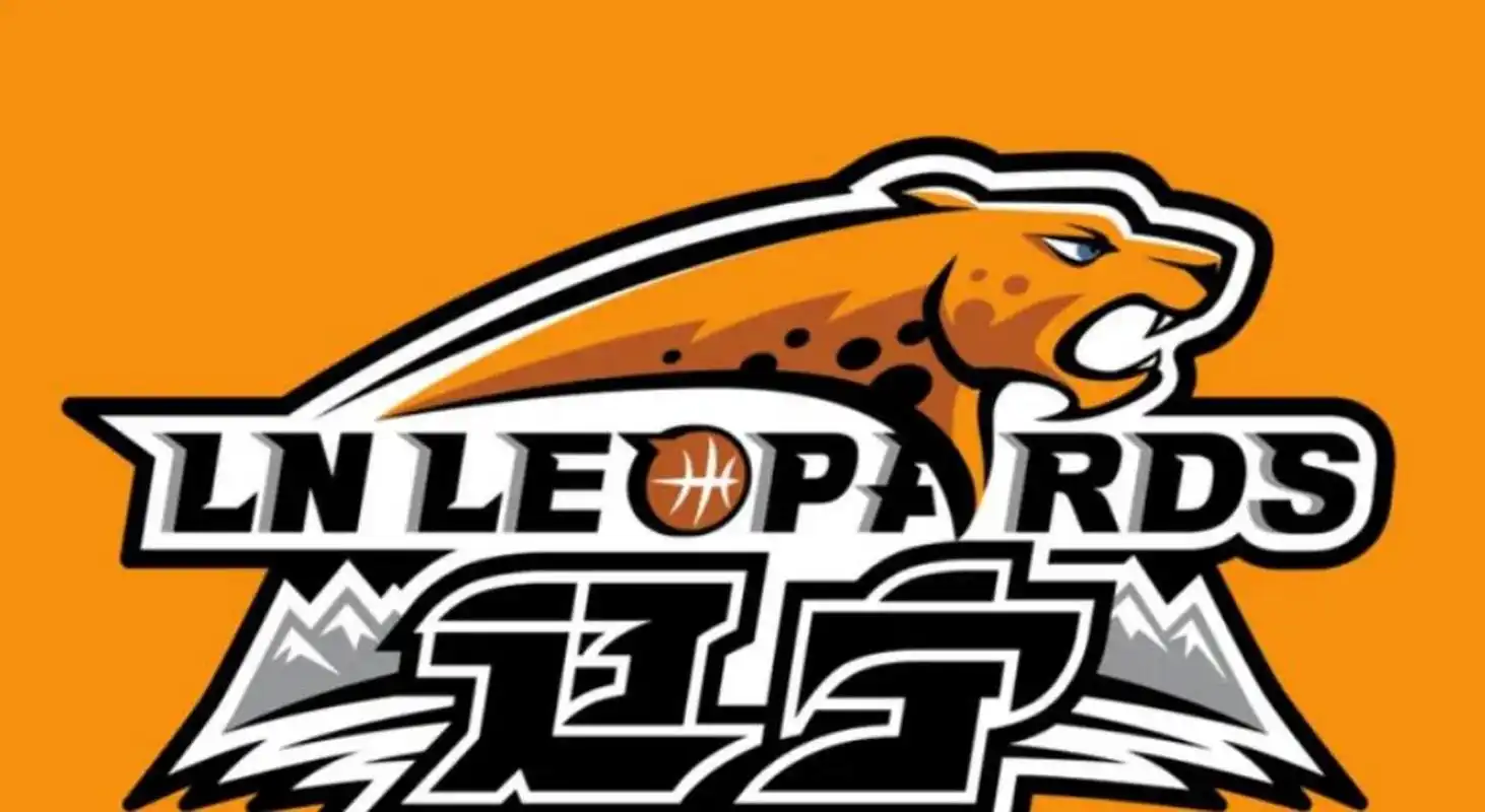 辽宁队在缺少郭艾伦的情况下,依然是闯进了cba总决赛,这样的一个结果