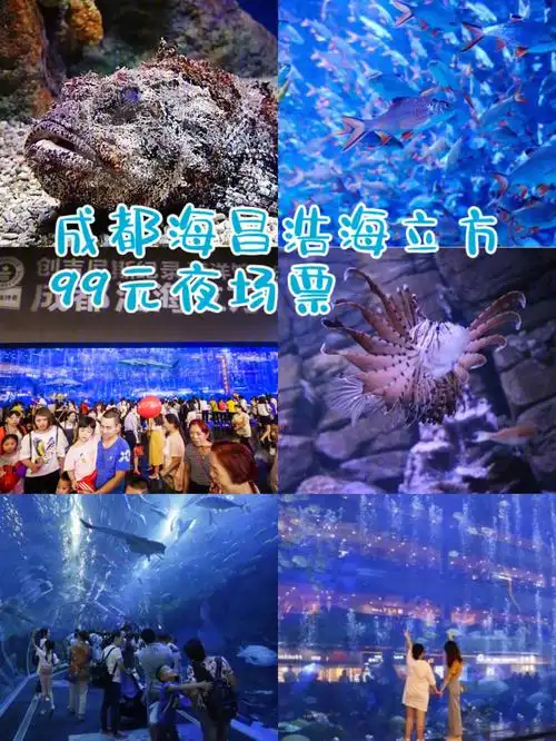 网上预订188元/人,夜场票99元/人99地址:双流区双楠大道88号海滨城