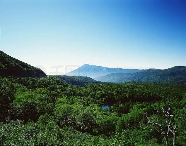 【脊】图片免费下载_脊素材_脊模板-千图网