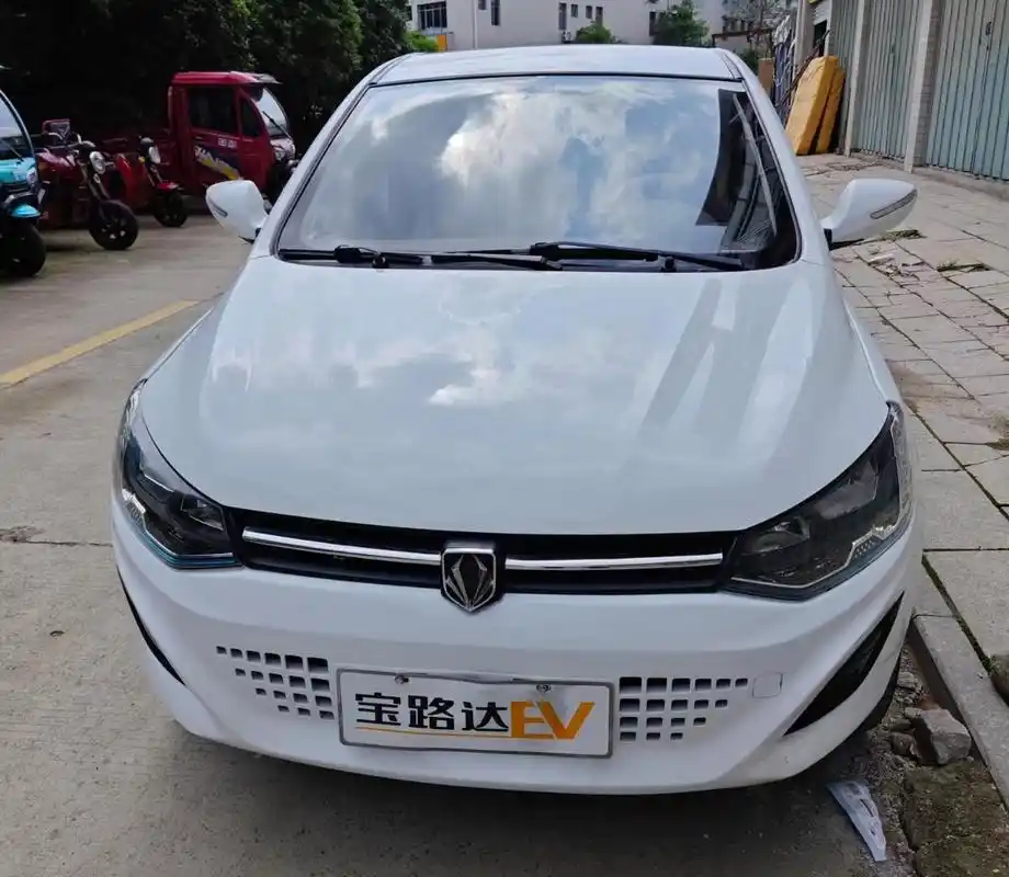 宝路达ds8锂电池,油电两用,方向助力,冷暖空调,超大空间,锂电续航200