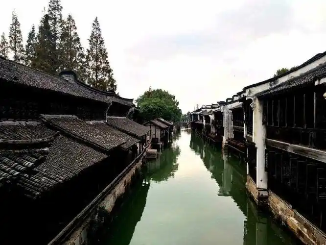 冷知识##我在微博涨知识