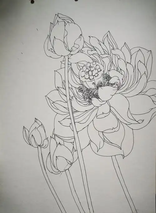 刘长亮2020.8中性笔白描作品记