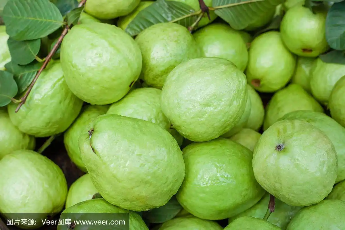 新鲜番石榴果实.绿色背景.