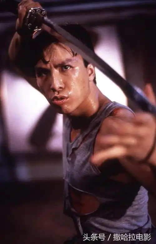 武术咏春太极洪拳凌空三脚这个叫甄子丹的也特别能打