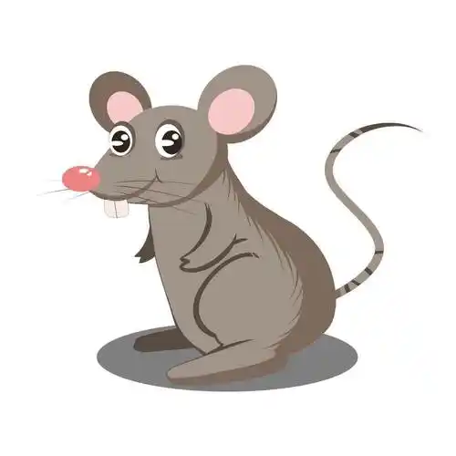 老鼠的图片老鼠的图片卡通