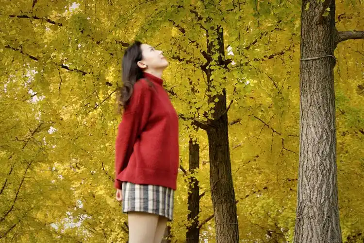 世博公园秋色/银杏树林人像摄影