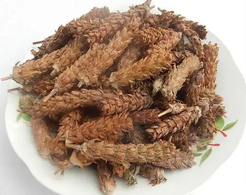 中药夏枯草看得懂记得住的中药功效