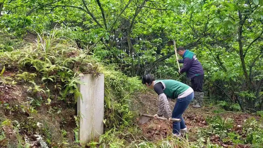 清明时节雨纷纷,今天开始扫墓,农村祖宗的墓地都是在高山上较多