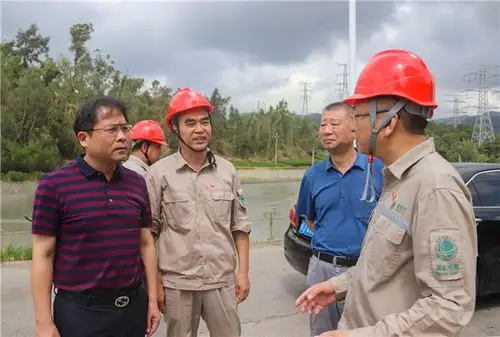 福鼎白茶微电影《最美的样子》再获奖 - 福鼎新闻网