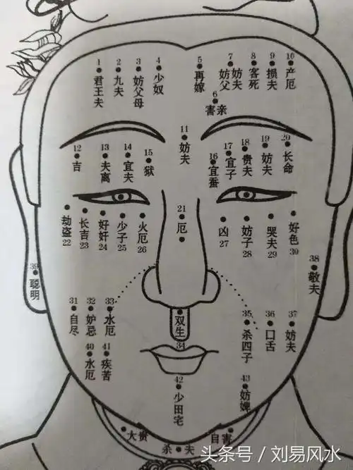 《麻衣神相》面痣男,面痣女详解,值得收藏哦!