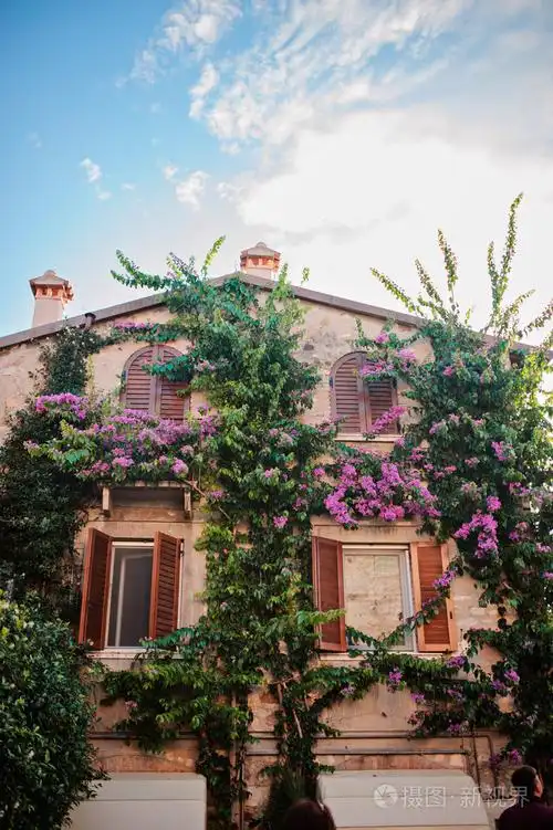 漂亮的房子与盛开的鲜花在加尔达湖意大利西尔米奥