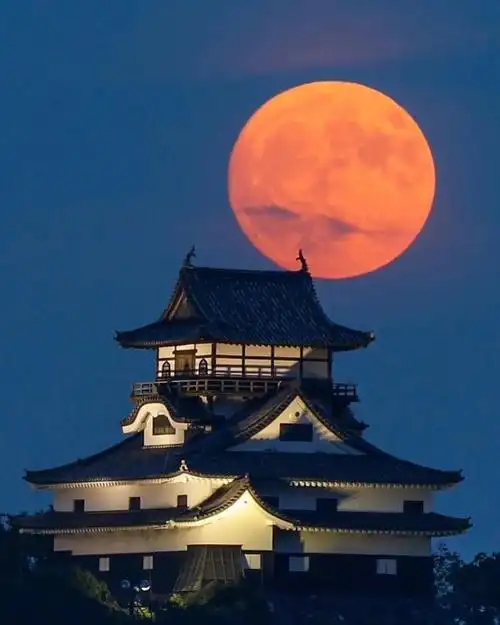 日本5大国家级别的城堡三