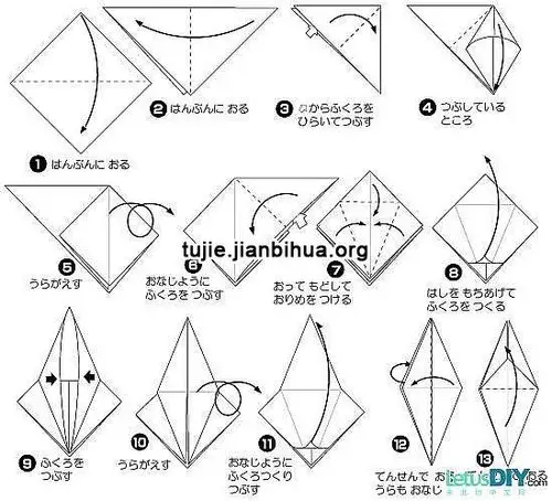 天鹅的折法图解教程