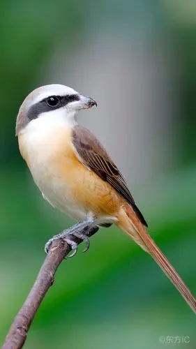 世界停在我吻你的时候