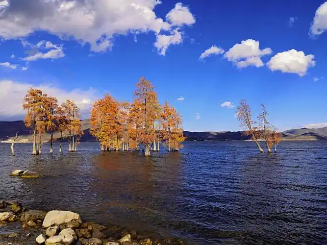 云南大理旅游景点(大理不踩雷网红景点) - 悦闻天下