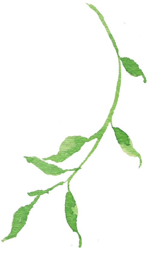 手绘素材 水粉素材 名片设计素材 免费素材