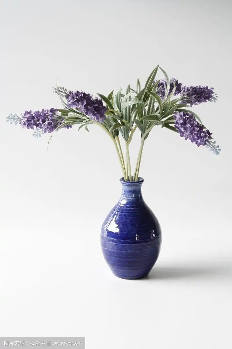 花瓶里的薰衣草