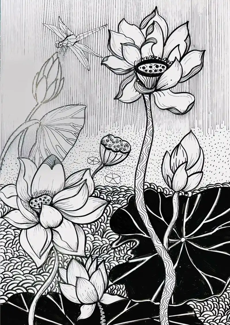 夏日荷花.#手绘 #黑白线描画 #纯手绘 #想画就画 #妙笔 - 抖音