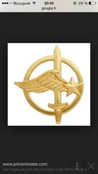 帮我找几张适合当头像的 法国外籍兵团团章 的照片