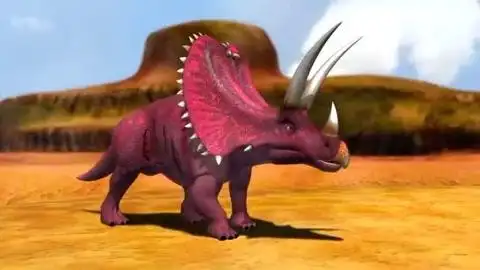 盾角龙激战五角龙,上演臣服一幕