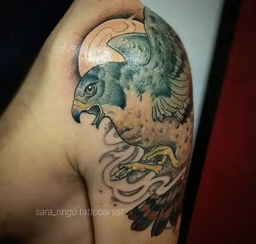 你们认为白凖海东青这个素材如何成熟的作品都有哪些