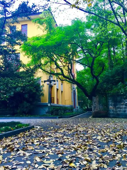 重庆大学校园景色