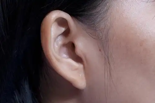 耳朵_耳朵图片